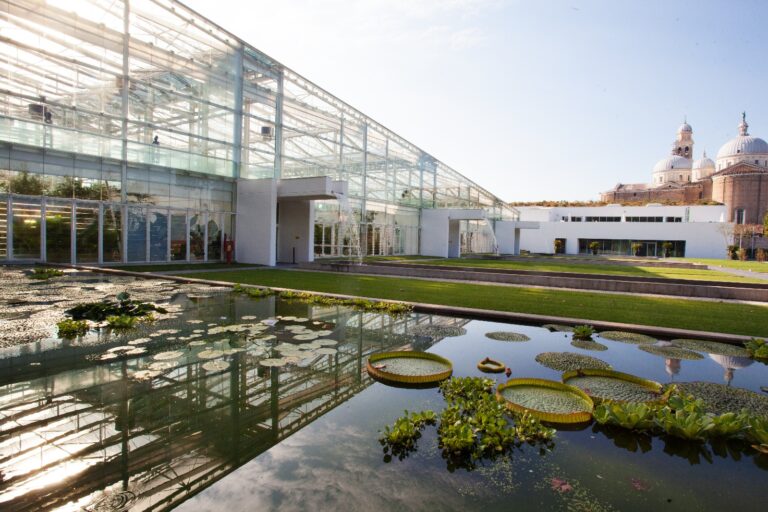 Botanical Garden Of Padua University